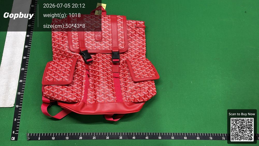 Goyard Bag QC photo 3
