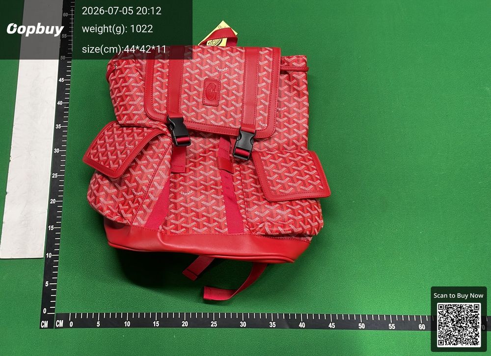 Goyard Bag QC photo 4