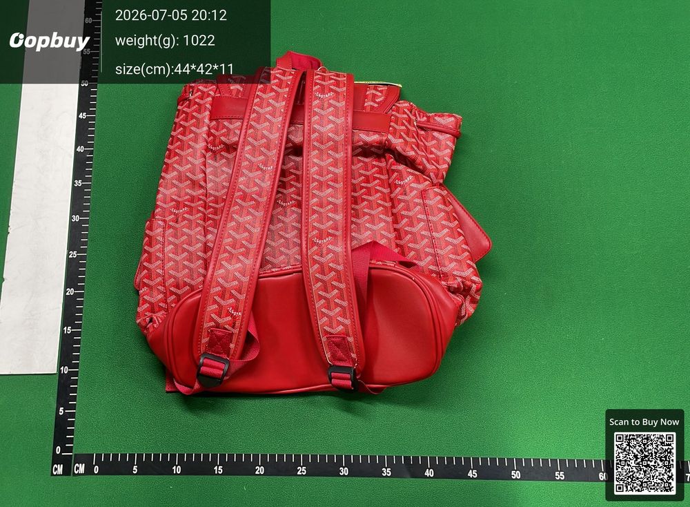 Goyard Bag QC photo 5