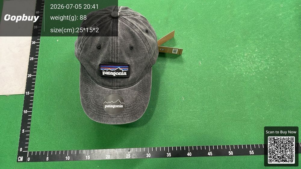 Patagonia Hat QC photo 1