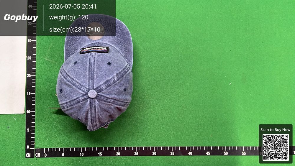 Patagonia Hat QC photo 4