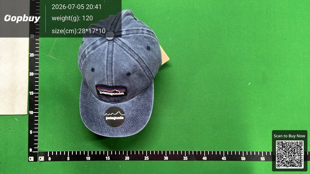 Patagonia Hat QC photo 5