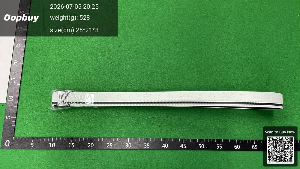 LV Belt QC photo 1