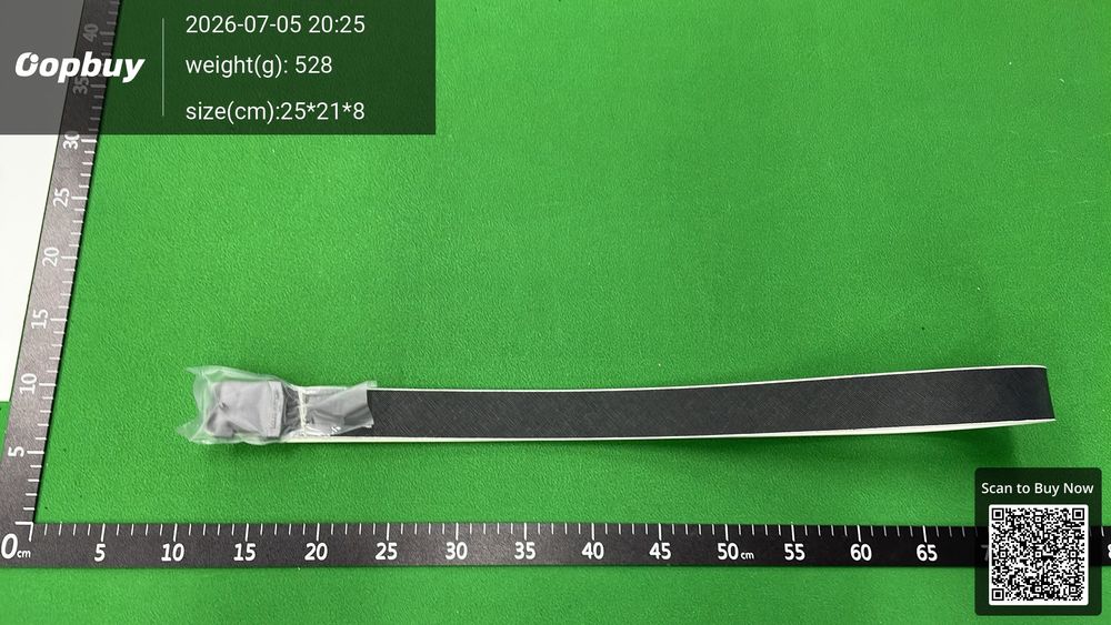 LV Belt QC photo 2