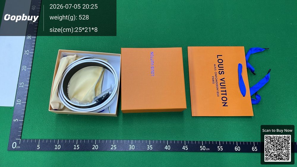 LV Belt QC photo 3