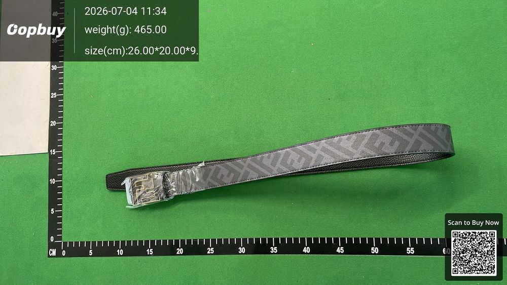 Fendi Belt QC photo 1