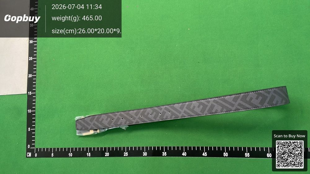 Fendi Belt QC photo 2