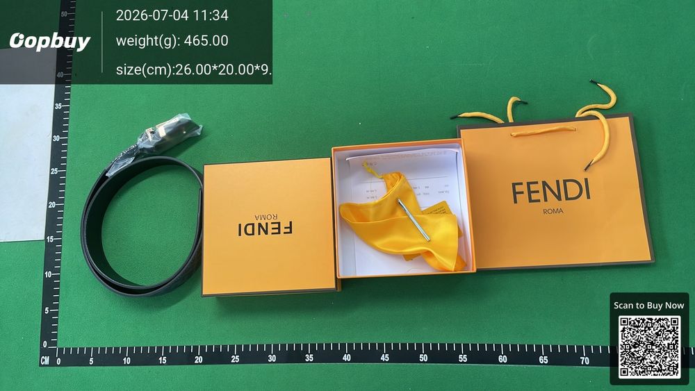 Fendi Belt QC photo 3