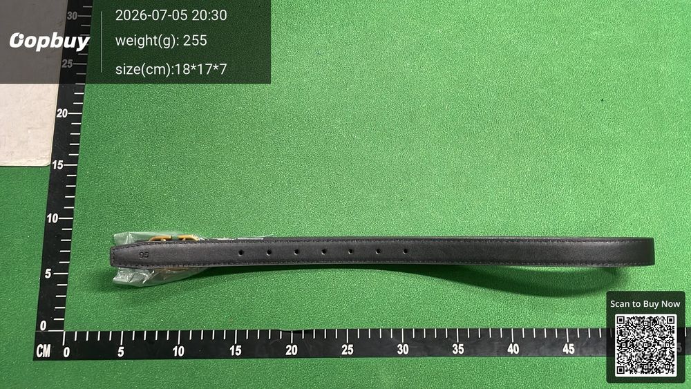 Valentino Belt QC photo 2