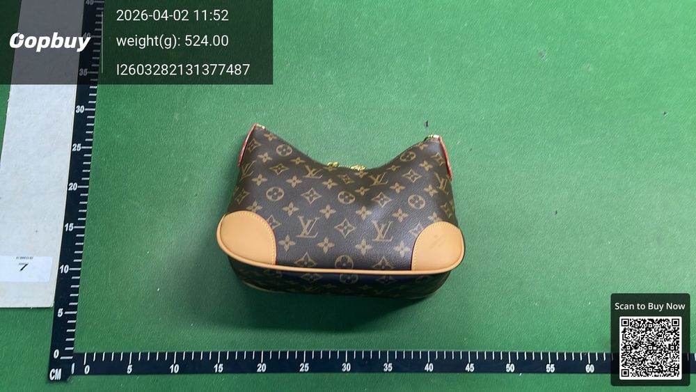 Louis Vuitton Bag QC photo 1