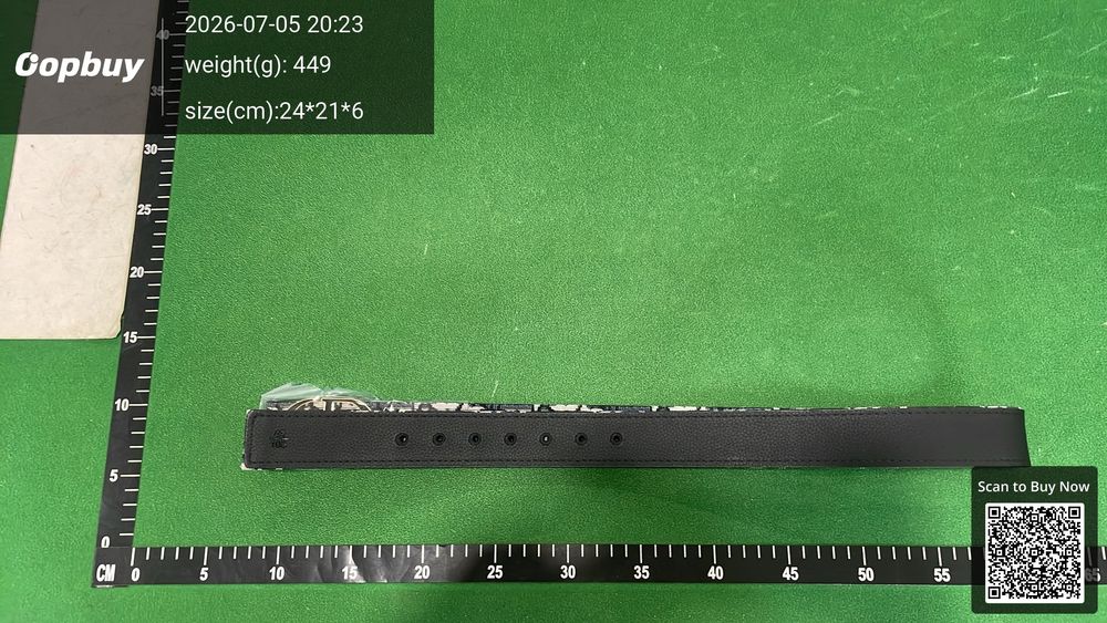 Dior Belt QC photo 1