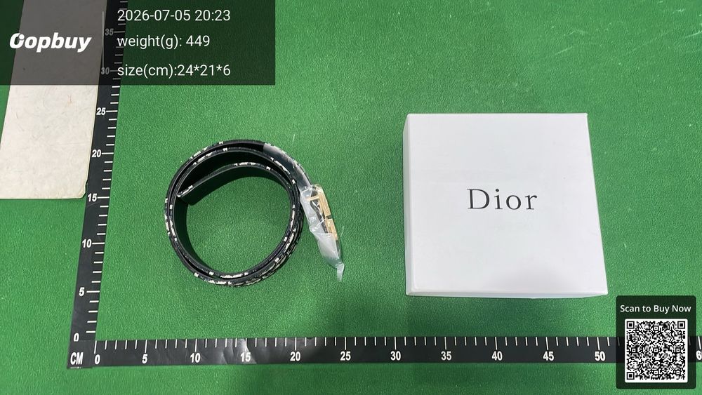 Dior Belt QC photo 2