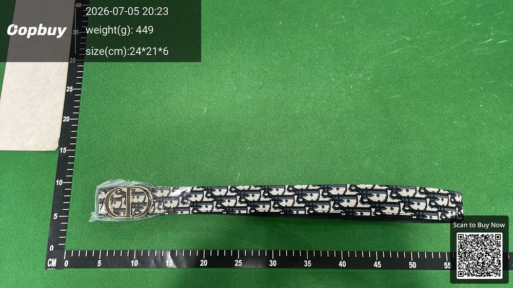 Dior Belt QC photo 3