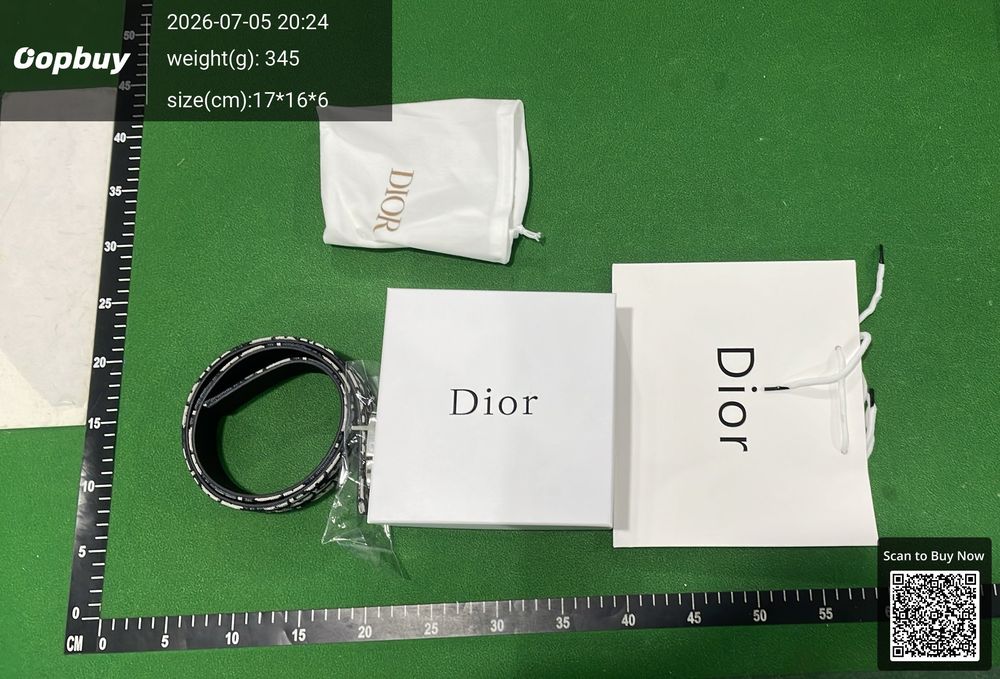 Dior Belt QC photo 4