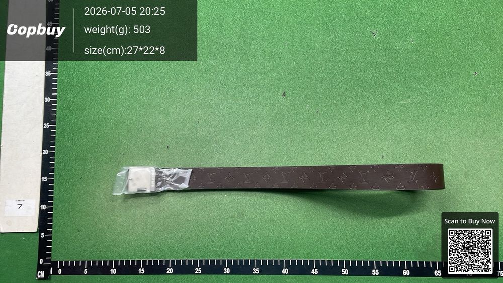LV Belt QC photo 5
