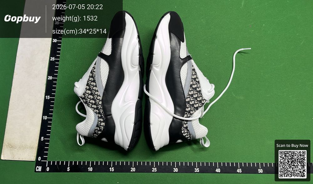 Dior B22 QC photo 1