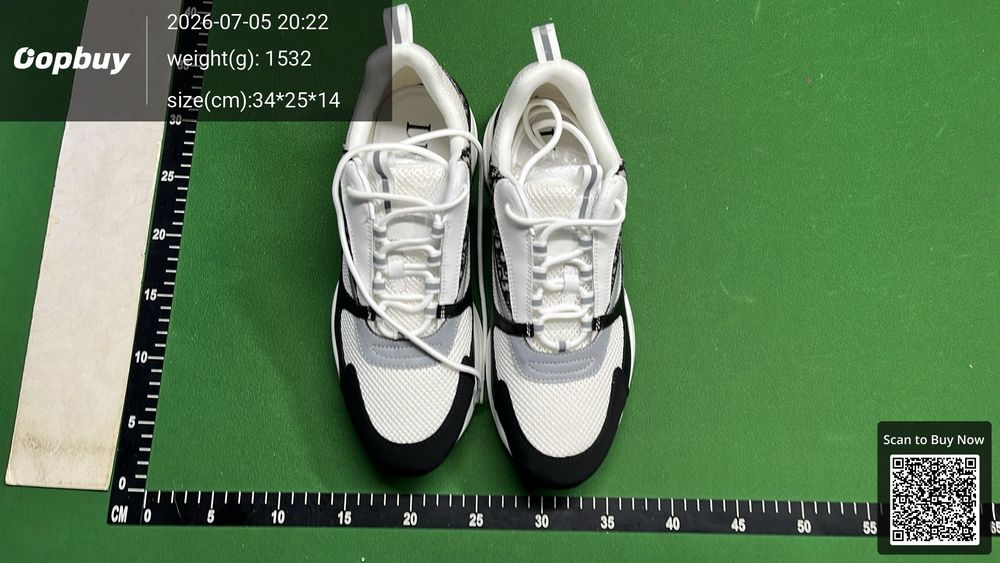 Dior B22 QC photo 2