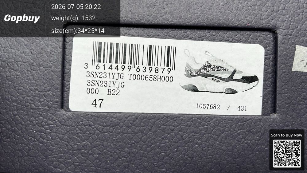 Dior B22 QC photo 5