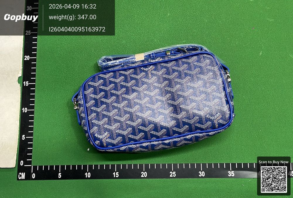 Goyard Bag QC photo 1