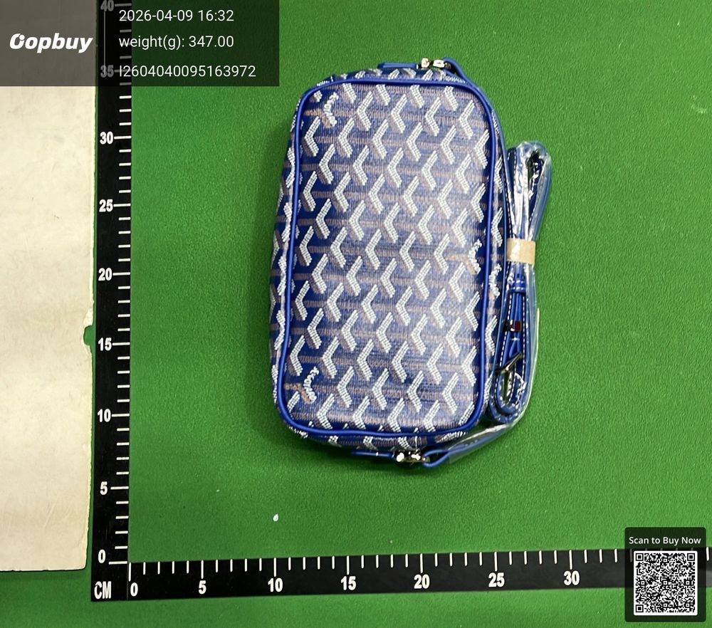 Goyard Bag QC photo 3