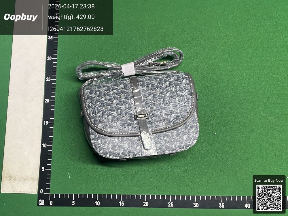 Goyard Bag QC photo 1
