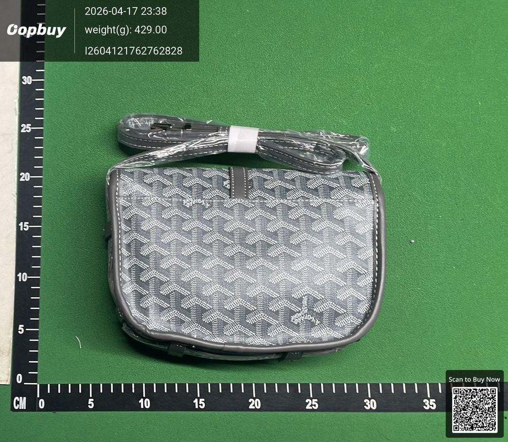 Goyard Bag QC photo 2
