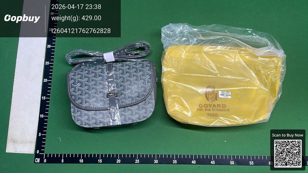 Goyard Bag QC photo 3