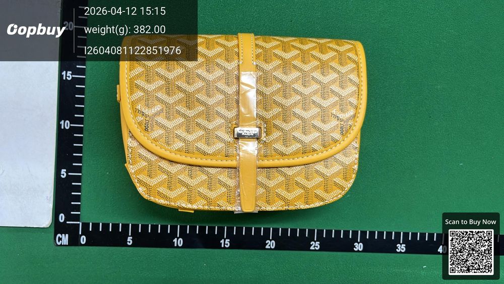 Goyard Bag QC photo 4