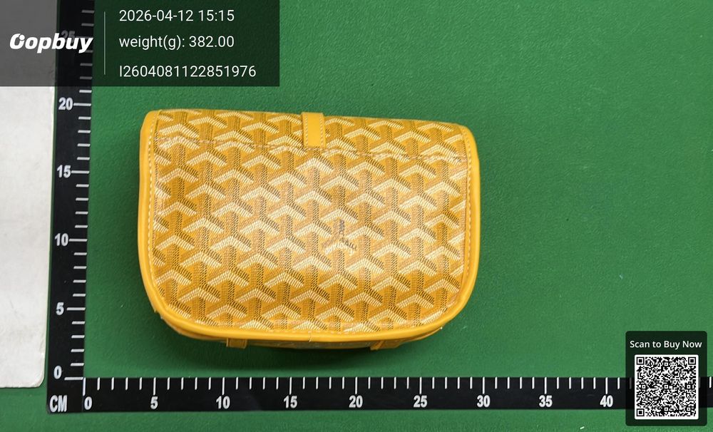 Goyard Bag QC photo 5
