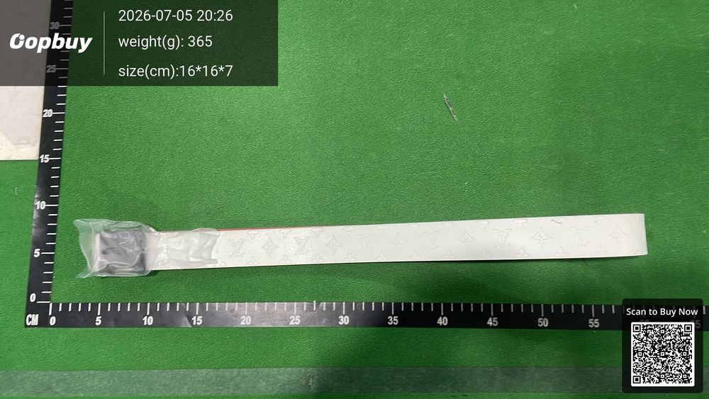 LV Belt QC photo 2