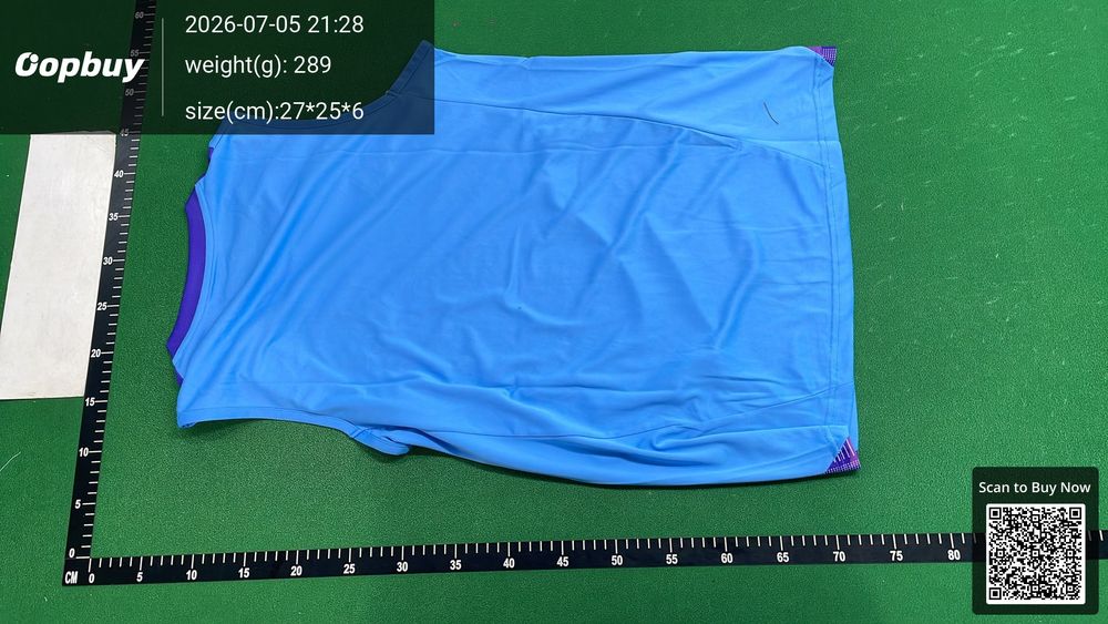 24/25 Argentina Training Vest Fan Version QC photo 3