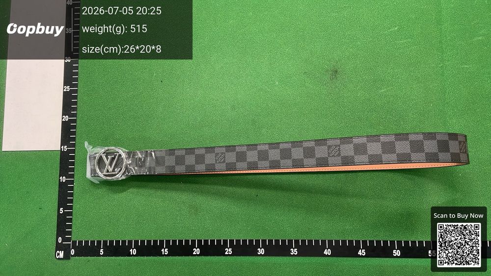 LV Belt QC photo 4