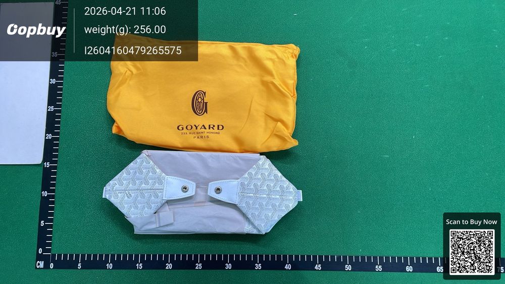 Goyard Bag QC photo 1