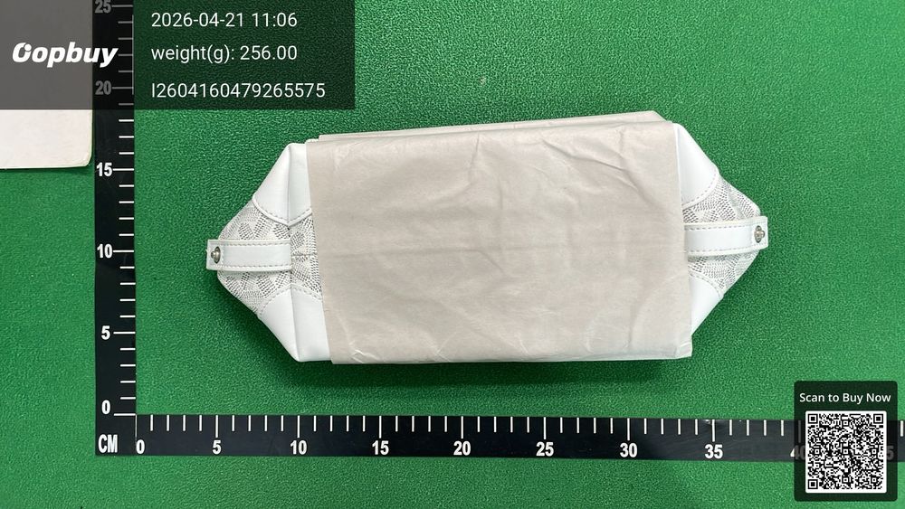 Goyard Bag QC photo 2
