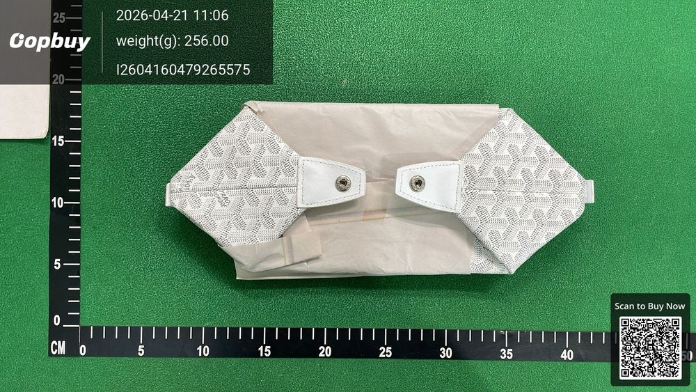 Goyard Bag QC photo 3