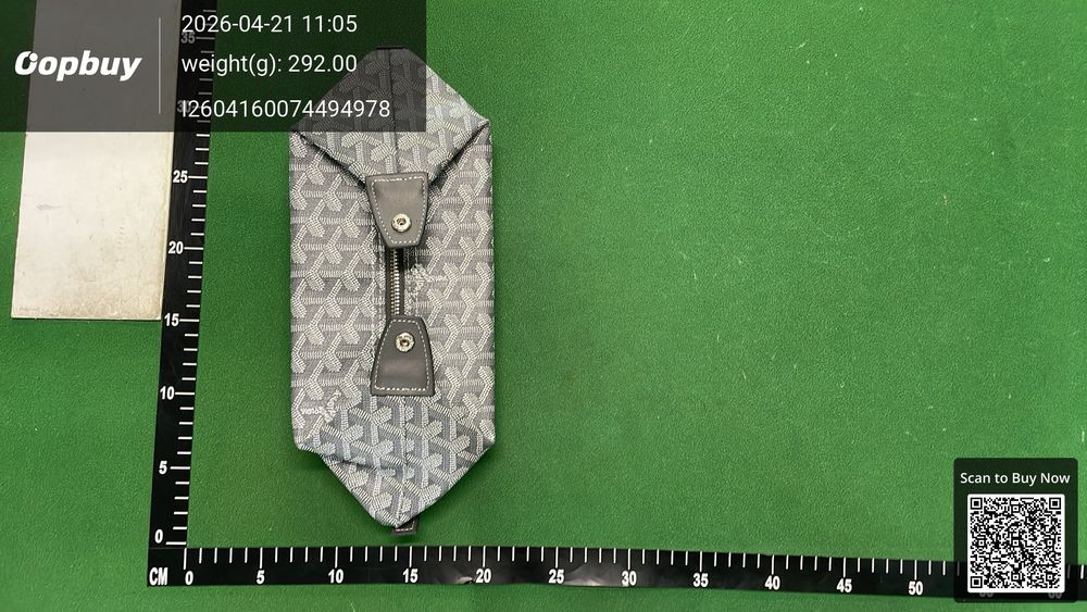 Goyard Bag QC photo 4
