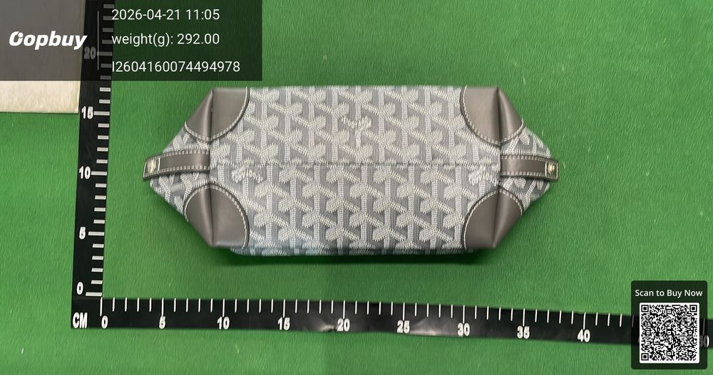 Goyard Bag QC photo 5