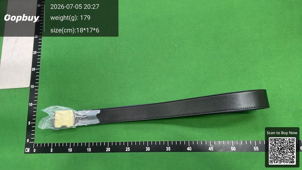 LV Belt QC photo 2