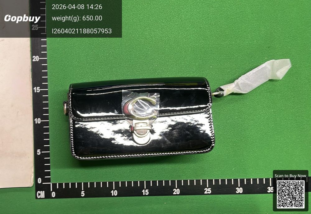 Coach Bag QC photo 1