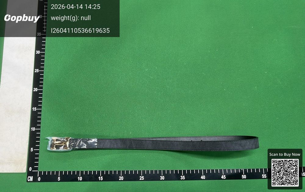 Hermes Belt QC photo 4