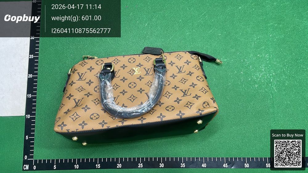 Louis Vuitton Bag QC photo 1