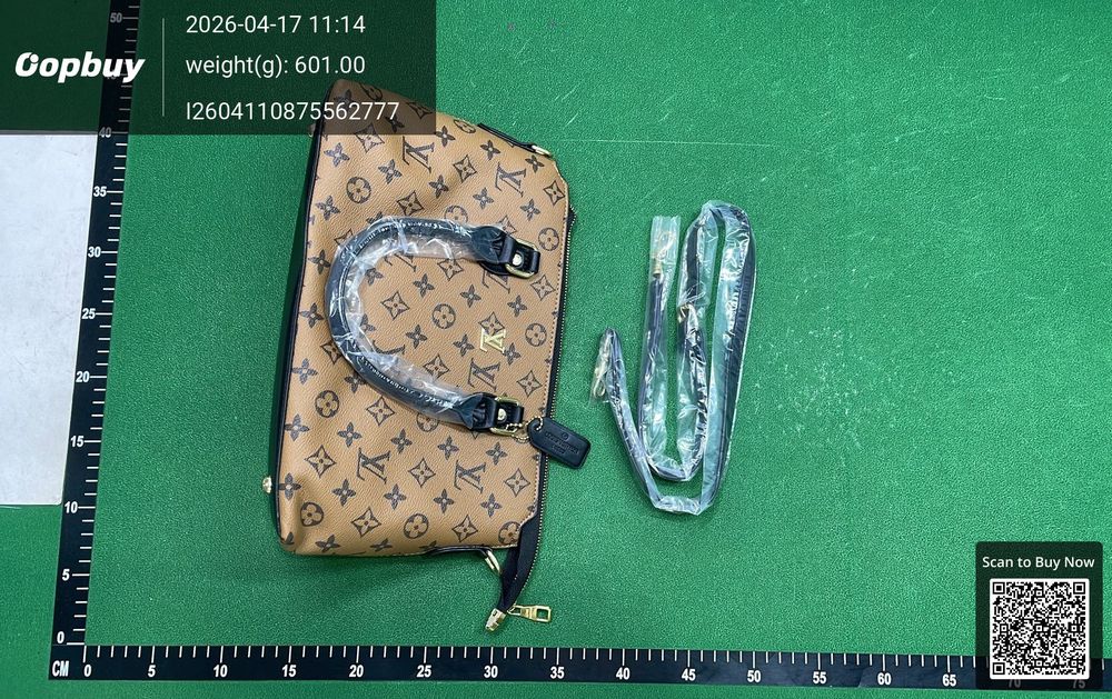 Louis Vuitton Bag QC photo 3