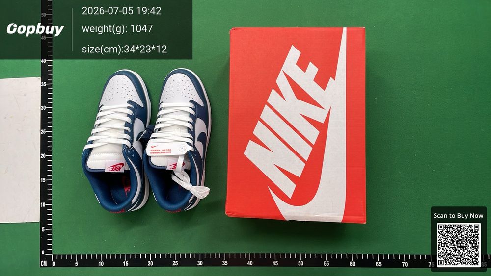 Nike Dunk QC photo 1