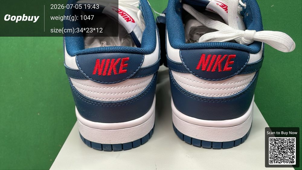 Nike Dunk QC photo 3