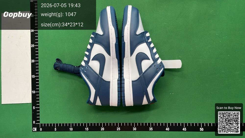 Nike Dunk QC photo 4