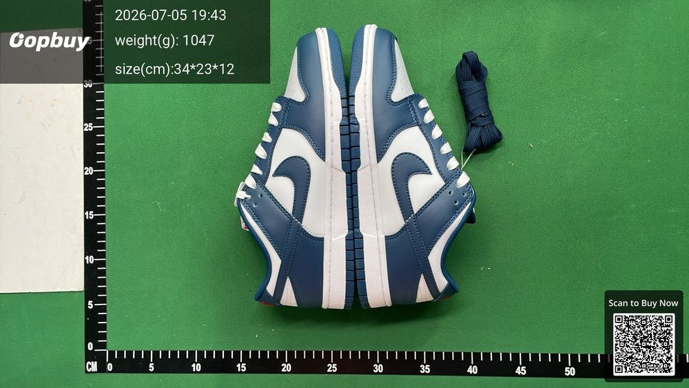 Nike Dunk QC photo 5