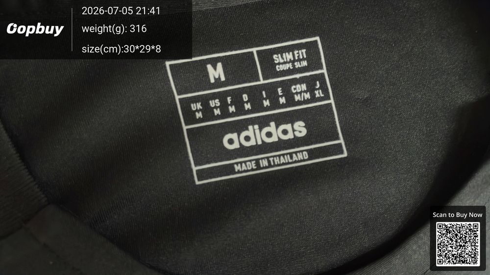 24/25 Germany Training Vest Fan Version QC photo 1