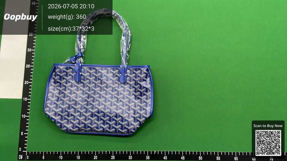 Goyard Bag QC photo 1