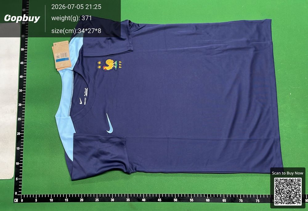24/25 France Training Vest Fan Version QC photo 2