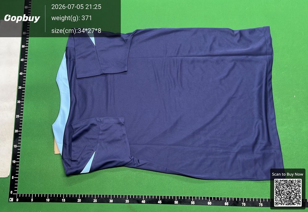 24/25 France Training Vest Fan Version QC photo 3